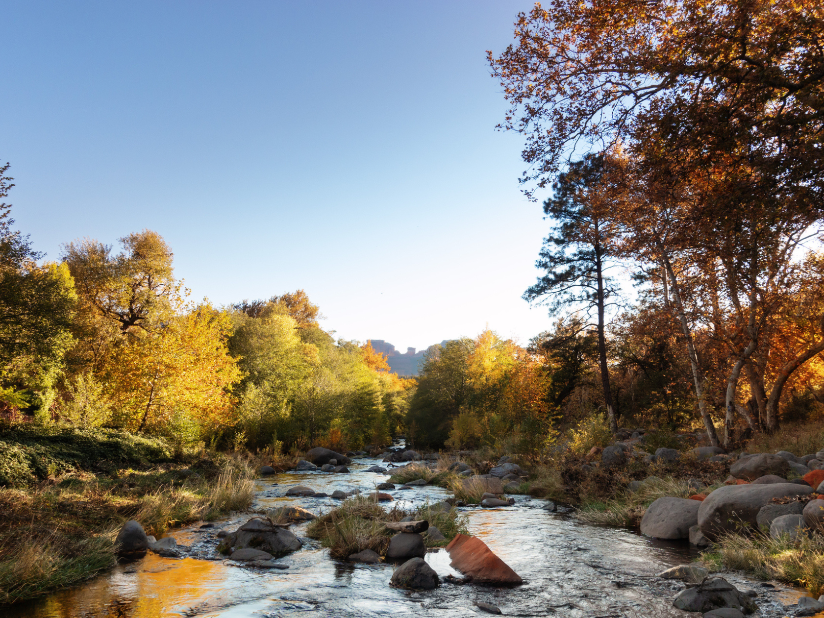 Image hover effect image